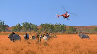 Скриншот 1 к игре Pasture: The Livestock Simulator