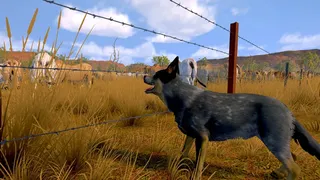 Скриншот 3 к игре Pasture: The Livestock Simulator