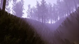Скриншот 6 к игре Dear, Virginia