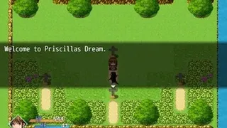 Скриншот 1 к игре Priscillas Dream
