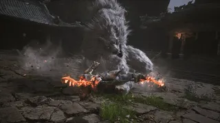 Скриншот 8 к игре Black Myth: Wukong