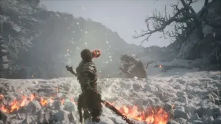 Скриншот 10 к игре Black Myth: Wukong