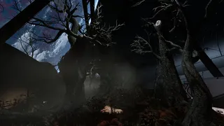 Скриншот 2 к игре Black Jackal