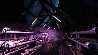 Скриншот 4 к игре Black Jackal