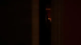 Скриншот 7 к игре Unexpected Visitors