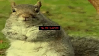 Скриншот 2 к игре Squirrel Stapler