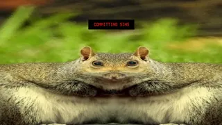 Скриншот 7 к игре Squirrel Stapler