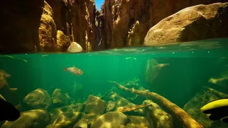 Скриншот 3 к игре Subside