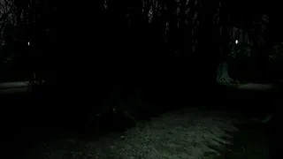 Скриншот 2 к игре Blood Hunting