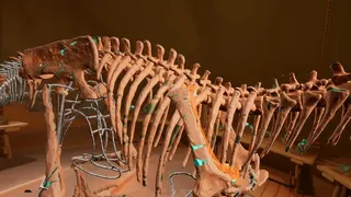 Скриншот 2 к игре Fossil Diggers VR