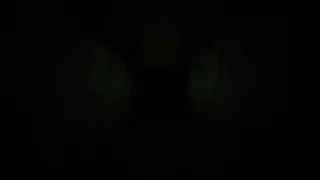 Скриншот 2 к игре гетеропоплавок 