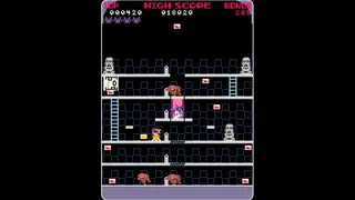 Скриншот 1 к игре Super Spy Raccoon