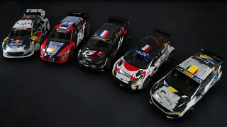 Скриншот 6 к игре EA SPORTS WRC