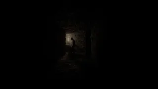 Скриншот 2 к игре Redemption: Wrath of Sin