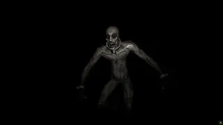 Скриншот 1 к игре Horror inside the forest
