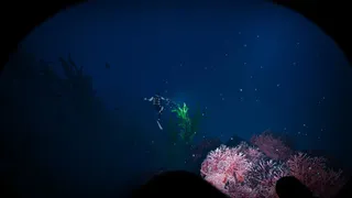 Скриншот 2 к игре Thalassophobia