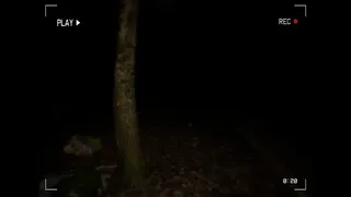 Скриншот 4 к игре Inside