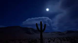 Скриншот 4 к игре Cactus Simulator 2