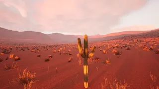 Скриншот 5 к игре Cactus Simulator 2