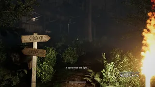 Скриншот 1 к игре Noah's Descent into Madness