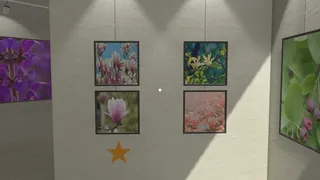 Скриншот 8 к игре Plant Gallery: A Short Botanic Experience