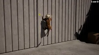 Скриншот 8 к игре Cat Life Simulator