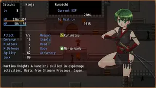 Скриншот 2 к игре Temple Knight Saga -Oath of the Knight's Sword-