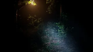 Скриншот 5 к игре Exanimum: The Silent Call