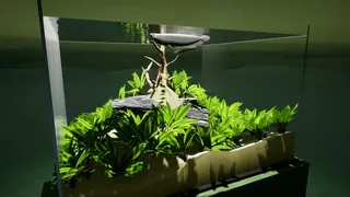 Скриншот 1 к игре Fish Game