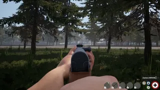 Скриншот 8 к игре Infection Crisis : Fight For Life