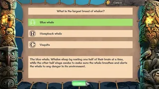 Скриншот 5 к игре Animal Kingdom 2