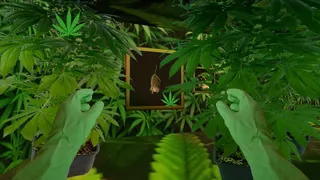 Скриншот 5 к игре THE SOUL OF TOO BIRDS GAME
