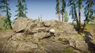 Скриншот 3 к игре Flower Simulator