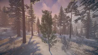 Скриншот 4 к игре СИМУЛЯТОР СИБИРСКОЙ БЕРЕЗЫ