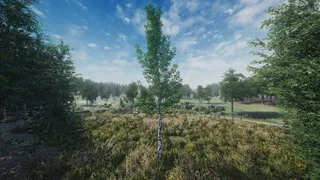 Скриншот 7 к игре СИМУЛЯТОР СИБИРСКОЙ БЕРЕЗЫ