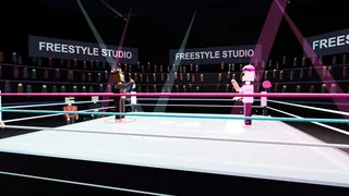 Скриншот 1 к игре Freestyle Studio