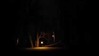 Скриншот 3 к игре Eerie Desolation