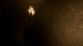 Скриншот 8 к игре Night Grove
