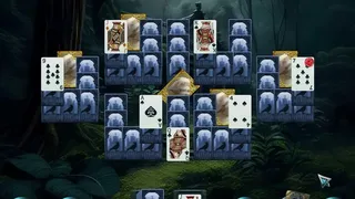 Скриншот 5 к игре Mystery Solitaire. The Black Raven 6