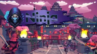 Скриншот 3 к игре Ninja