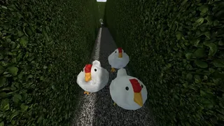 Скриншот 4 к игре Chasing Chickens