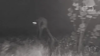 Скриншот 2 к игре CONTORTED