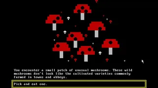 Скриншот 5 к игре Rogues' Purgatory