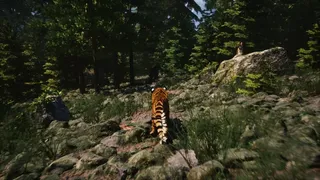 Скриншот 1 к игре Untamed Kingdom