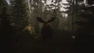 Скриншот 5 к игре Untamed Kingdom
