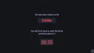 Скриншот 1 к игре Block Catching