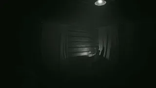 Скриншот 2 к игре The Quiet Execution