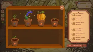 Скриншот 8 к игре Whimel Academy