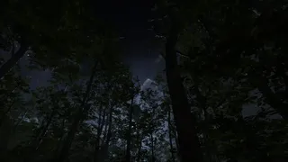 Скриншот 8 к игре Camping Vlog Simulator 2024