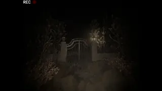 Скриншот 2 к игре The Dire